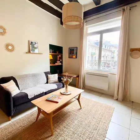 Le Plumereau - 1 Min Place Plumereau Apartment Tours